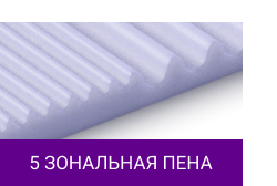 5 ЗОНАЛЬНАЯ ПЕНА.png